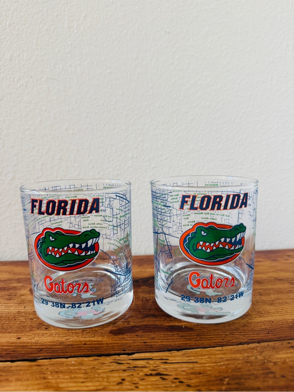 Florida Gators Whiskey Tumblers - Rocks Glasses Set of 2